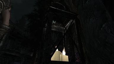 moth lantern2