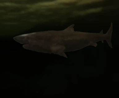 Frostbite Shark