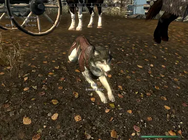 Armored Huskies And Trolls Dawnguards Elites Protectors At Skyrim Nexus Mods And Community