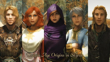 Dragon Age Origins Followers