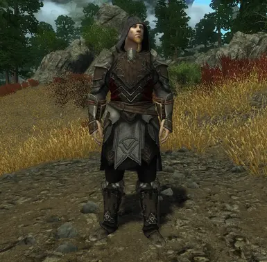 Fine Leather Armor Replacer DELETED At Skyrim Nexus Mods And Community   80482 0 1480166531 