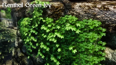 Renthal Green Ivy
