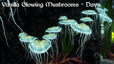 Vanilla Glowing Mushrooms