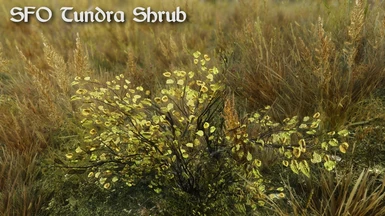 Skyrim Flora Overhaul Tundra Shrub