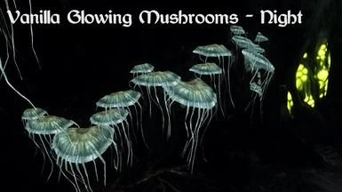 Vanilla Glowing Mushrooms - Night