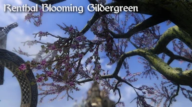Renthal Blooming Gildergreen