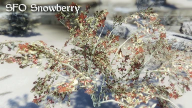 Skyrim Flora Overhaul Snowberry
