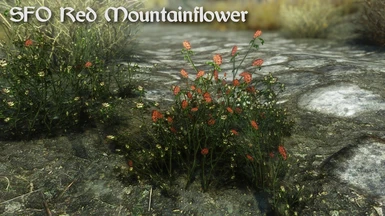 SFO Red Mountainflower
