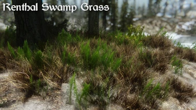Renthal Swamp Grass