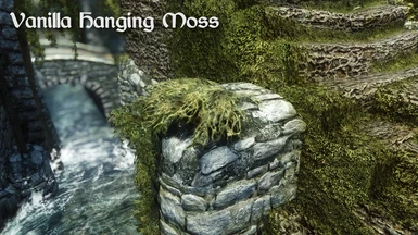 Vanilla Hanging Moss