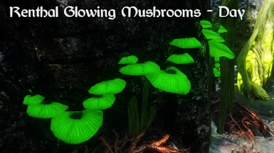 Renthal Glowing Mushrooms