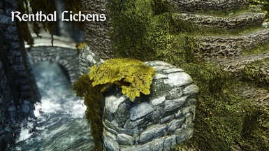 Renthal Lichens
