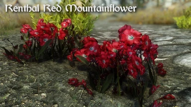 Renthal Red Mountainflower