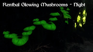 Renthal Glowing Mushrooms - Night