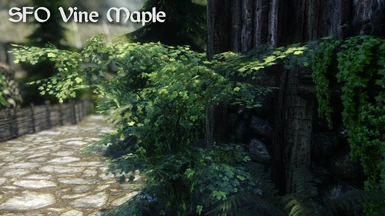 Skyrim Flora Overhaul Vine Maple