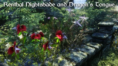 Renthal Nightshade and Dragons Tongue