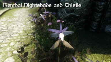 Renthal Nightshade and Thistle