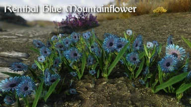 Renthal Blue Mountainflower