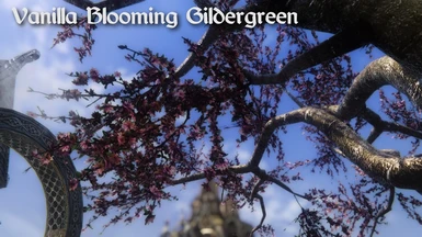 Vanilla Blooming Gildergreen