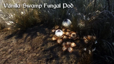 Vanilla Swamp Fungal Pod