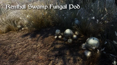 Renthal Swamp Fungal Pod