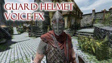 Guard Helmet Voice FX 4