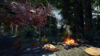 Riverwood with Vivid Weathers and ELFX