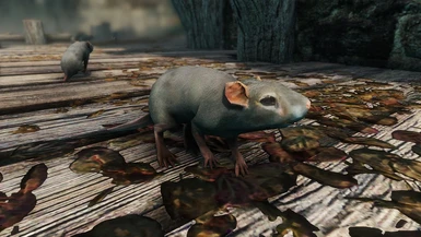 SQUEAKY CLEAN Rats at Elden Ring Nexus - Mods and Community