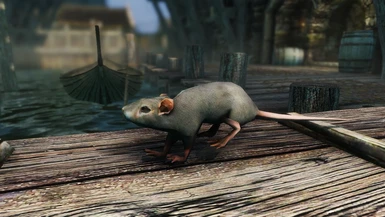 SQUEAKY CLEAN Rats at Elden Ring Nexus - Mods and Community