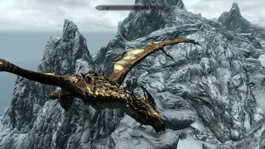 My Paladine riding his Elder Dragon
