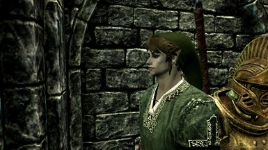 Twilight Princess view of hair and tunic