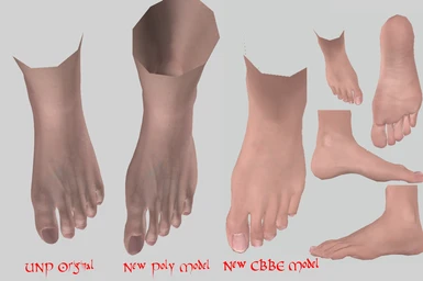 UNP Feet reshaped