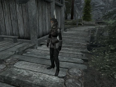 Jenassa in skimpy armor with 4k black texture