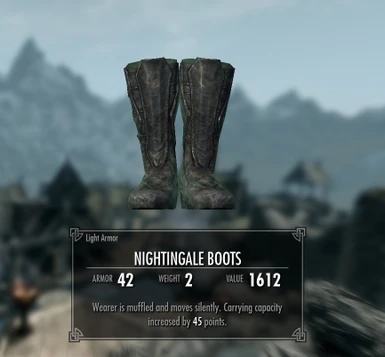 Level 19_31 Boots