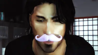 HITDANDY STACHES MOD - Warfstache