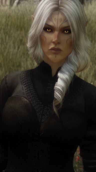 Braenn Oblivion hairstyle screenshot by ShinglesCat