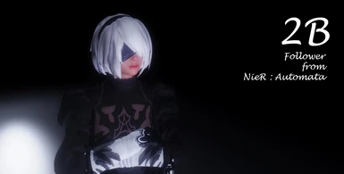 2B Follower from NieR  Automata - DELETED