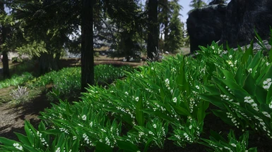 Lily of the Valley - Estonian ENB