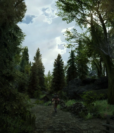 Elder Scrolls V  Skyrim Screenshot 2017 09 24   03 16 05 56 stitch