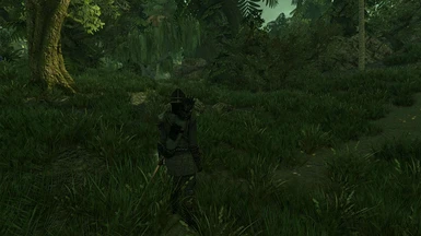 Morthal swamp with new Marshgrass