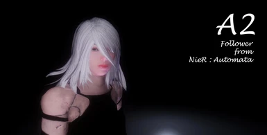 A2 Follower from NieR Automata - DELETED