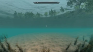 Underwater Details 01