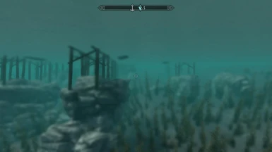 Underwater Details 06