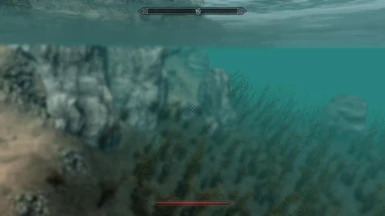 Underwater Details 02