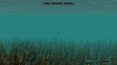 Underwater Details 07