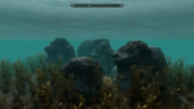 Underwater Details 10