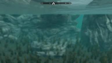 Underwater Details 05
