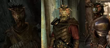 ArgonianFollowers