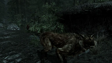 Red wolves on the road to Falkreath