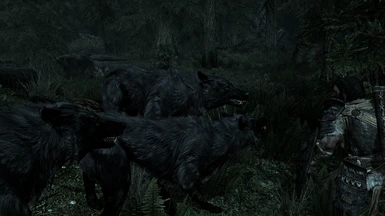 Dire Wolf and friends